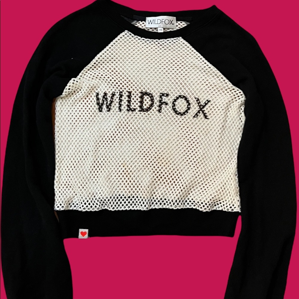 RARE  MESH WILDFOX SWEATER